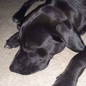 Meet your Posher, Lindsey